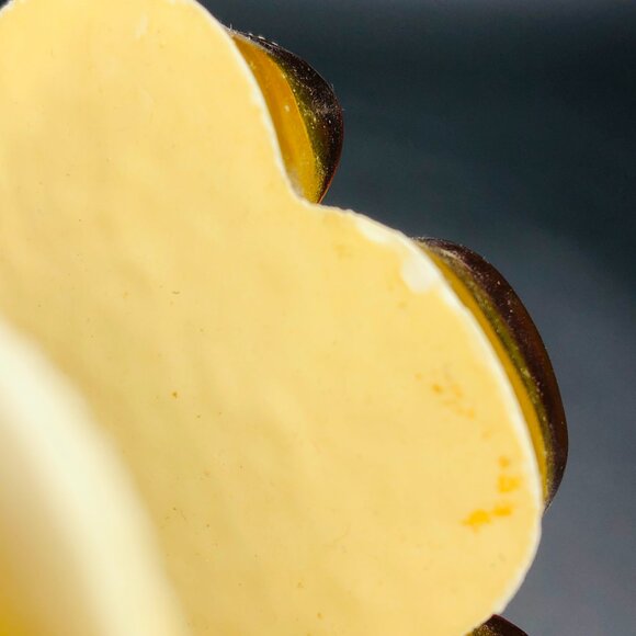 Vintage 70s Sunflower Lucite Acrylic Napkins Holder: Retro Flower Power Kitchen - Picture 12 of 12